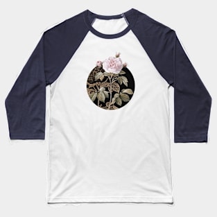 Vintage Vintage Rosa Alba Botanical Illustration on Circle Baseball T-Shirt